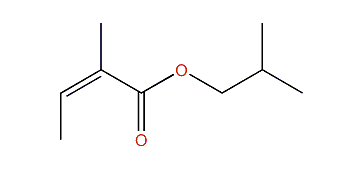 Isobutyl (E)-2-methyl-2-butenoate